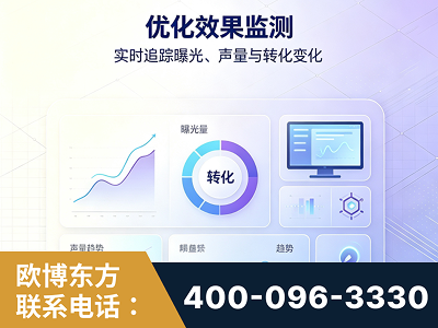汕头-优化效果监测