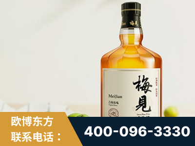 汕头-梅见青梅酒